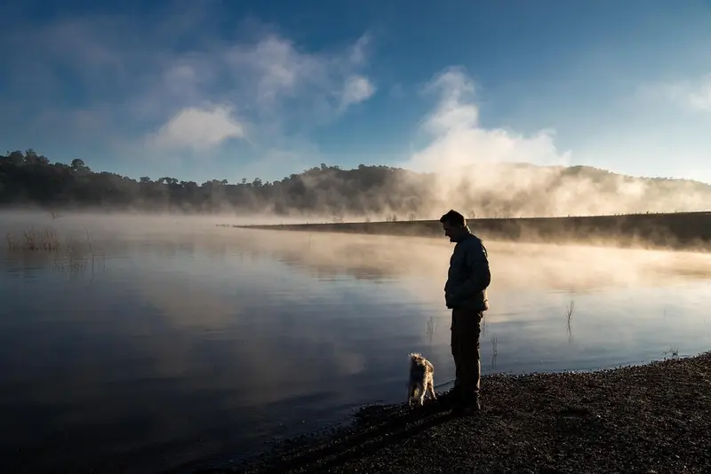 Our beloved dogs also have a dark side: an uncomfortable truth.