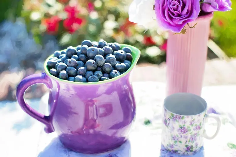 Researchers have discovered why blueberries are blue.