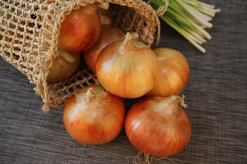 Storing according to science: why you shouldn't keep onions in the refrigerator?