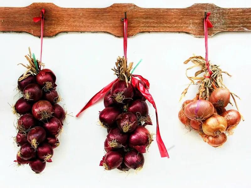 Storing according to science: why you shouldn't keep onions in the refrigerator?