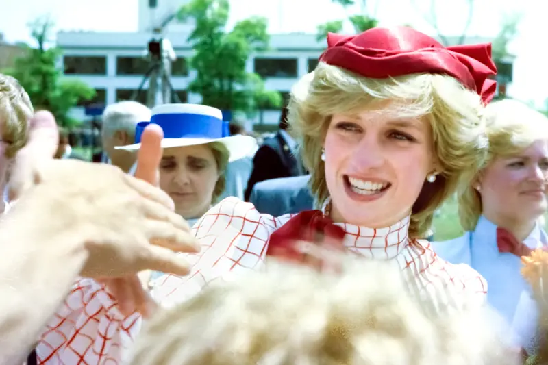 Velvet Tulip: The famous dress of Princess Diana will be sold at auction.