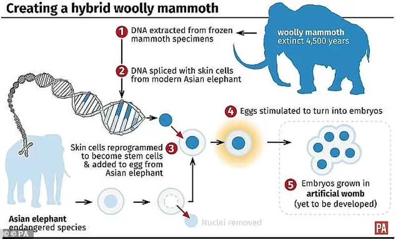 Scientific sensation: geneticists have promised to resurrect the woolly mammoth by 2028.