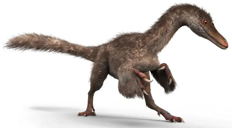 A 99-million-year-old plant found in amber turned out to be a dinosaur tail.