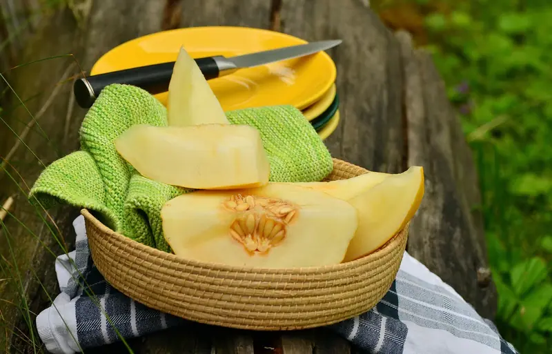 A sweet gift: melon is a present from Asia to Europe.