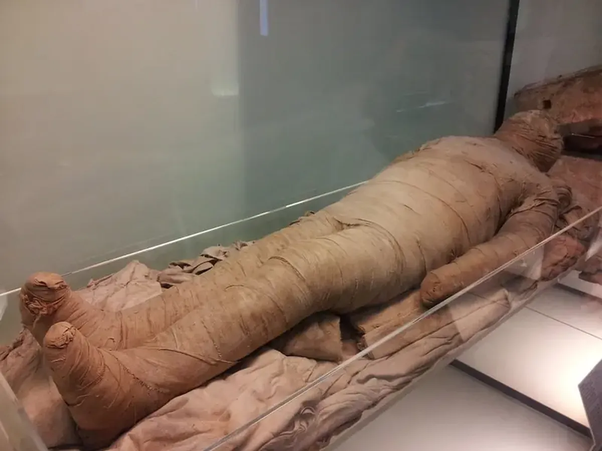 The Scent of Eternity: Secrets of Egyptian Mummification