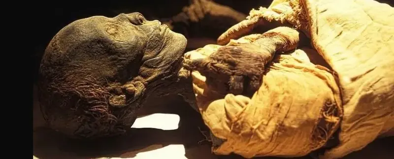 Near the recently discovered tomb of the pharaoh, scientists have uncovered another one.