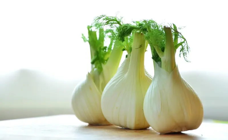 Summer recipe: fish baked with fennel.