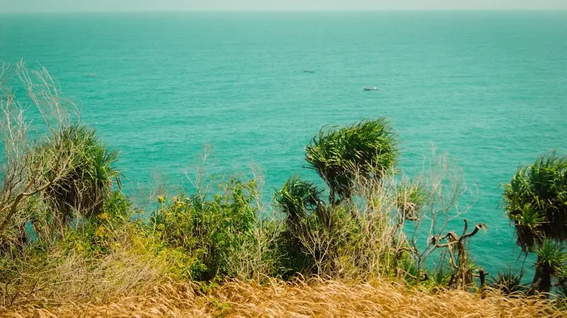 A view of a body of water from a hill