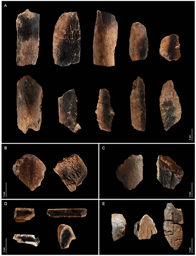 People have been smoking meat for two million years, according to scientists.