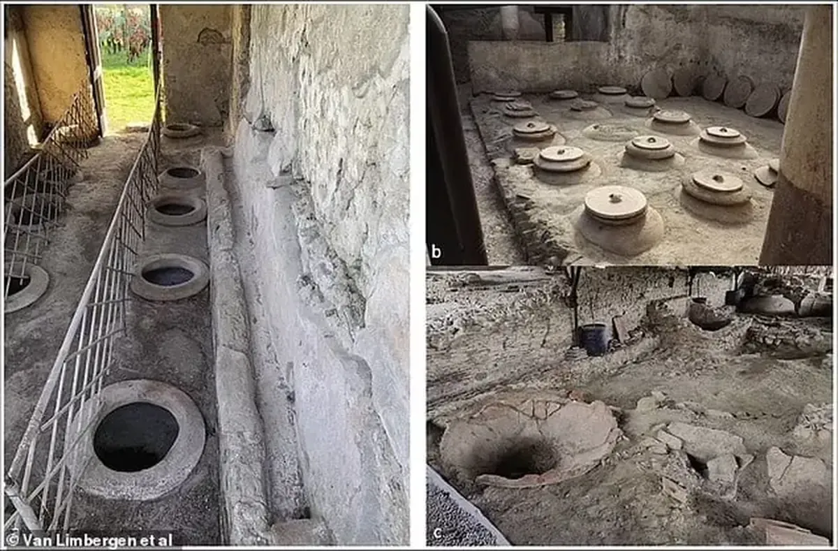 With the aroma of nuts and toasted bread: what wine did the ancient Romans drink?