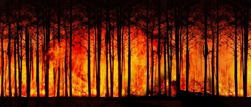 The year 2024 has become the hottest on record, and this is concerning.