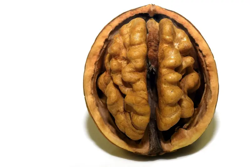 Walnut: nuclear energy
