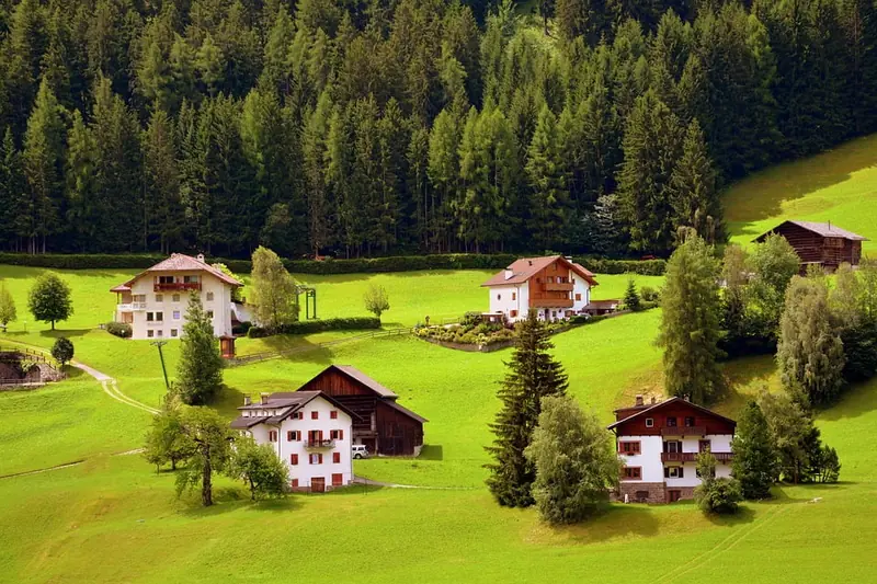 Cells of residents in green areas age more slowly.