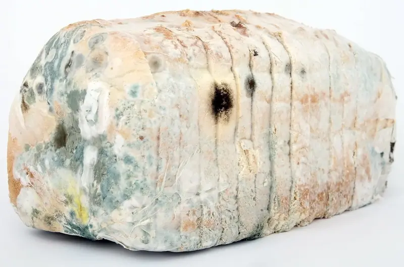 What are the dangers of moldy products?