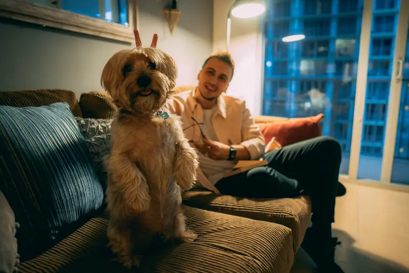 Best friends: eye contact synchronizes brain activity between humans and dogs.