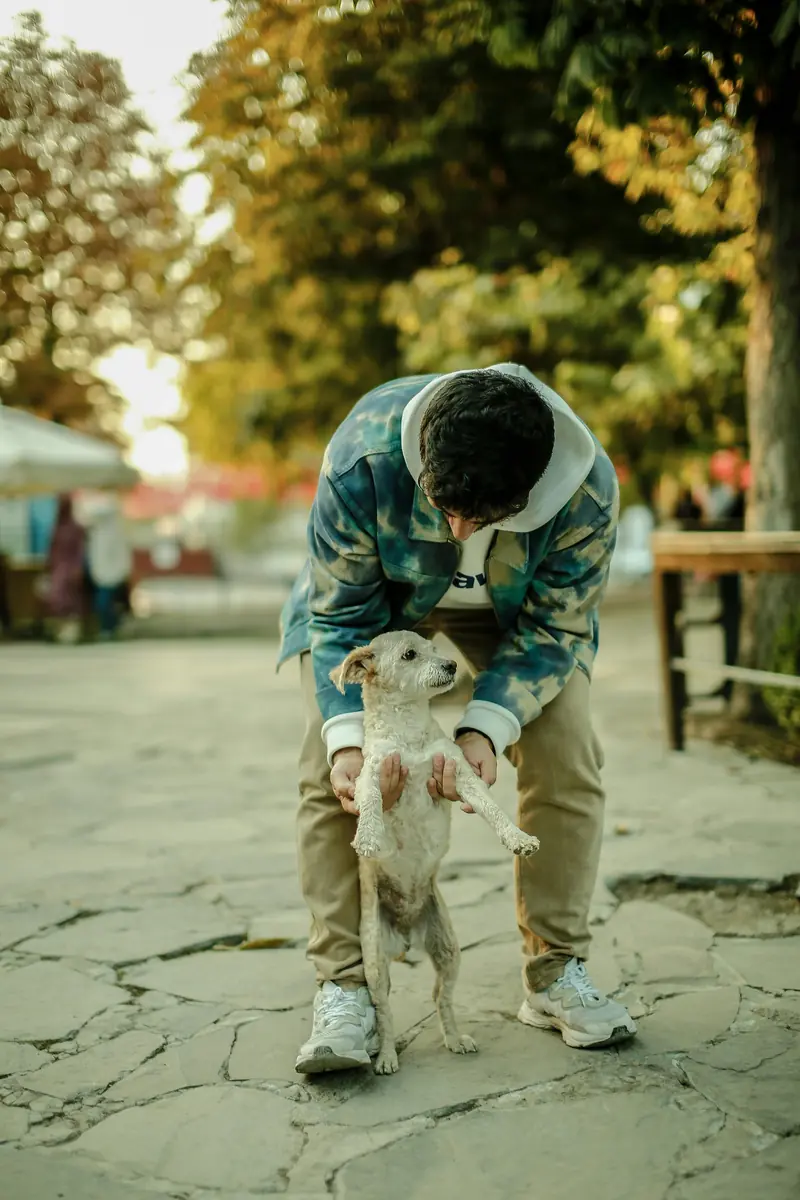 Interacting with a dog helps reduce stress and increase mindfulness.