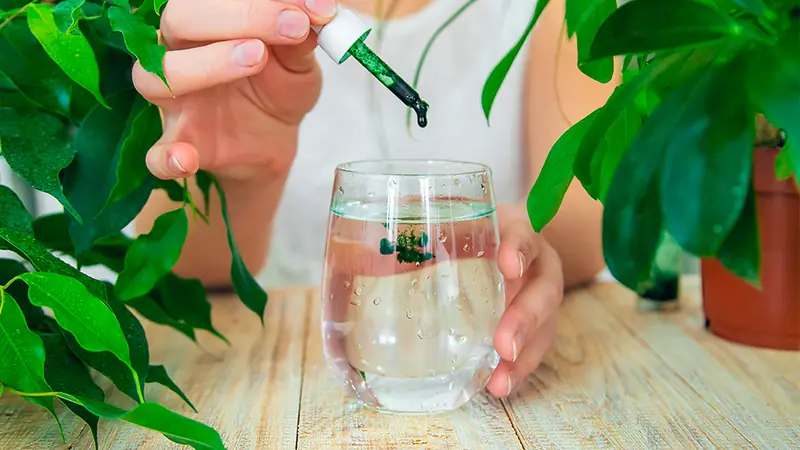 The trend of chlorophyll: real benefits or just a marketing gimmick?