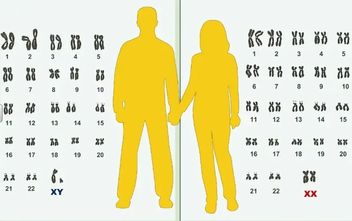 The unexpected and incredible: scientists attempted to prove that Adam and Eve actually existed.