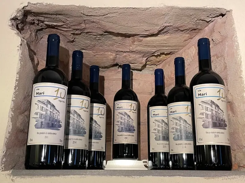 Under the Christmas tree: the world's smallest winery produces 29 bottles of wine each year, priced at €5000 each.