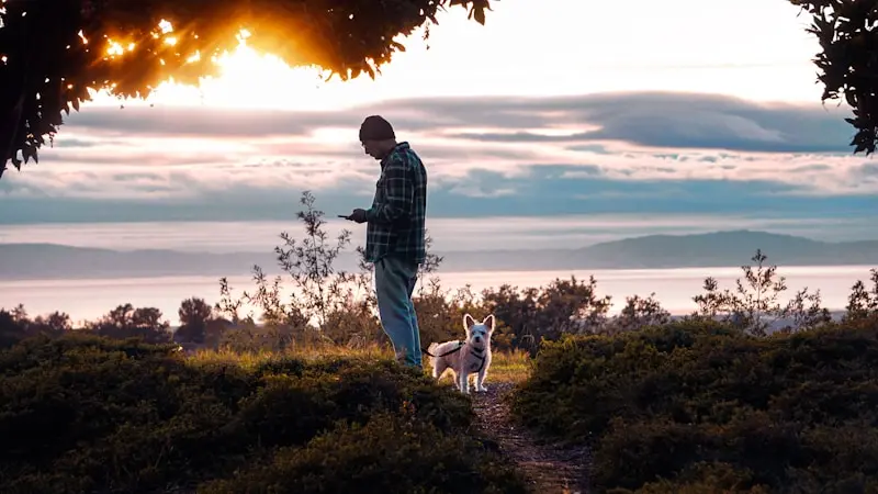 a man walking a dog on a trail