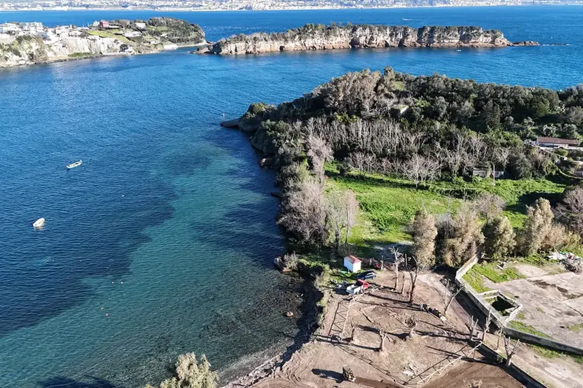 In Italy, an opulent beach villa belonging to Pliny the Elder has been uncovered; it is 2000 years old.