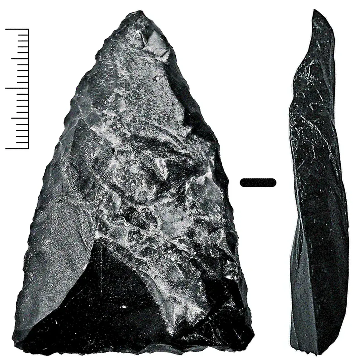 Ancient interior design: Neanderthals, like Homo sapiens, zoned their living spaces.