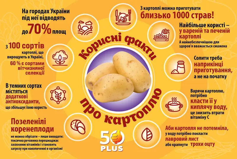Potatoes: why the second bread is better than the first.