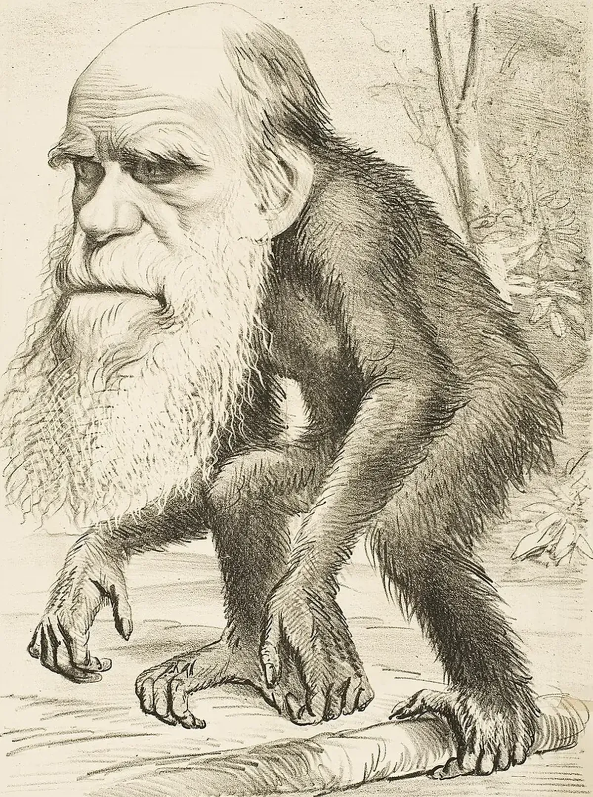Charles Darwin: The Evolution of the Author of the Theory of Evolution