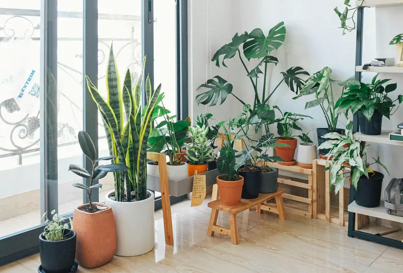 How to maintain clean air in your home during winter.