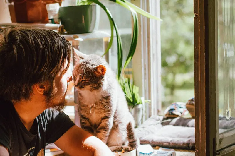 Why do cats hate closed doors?