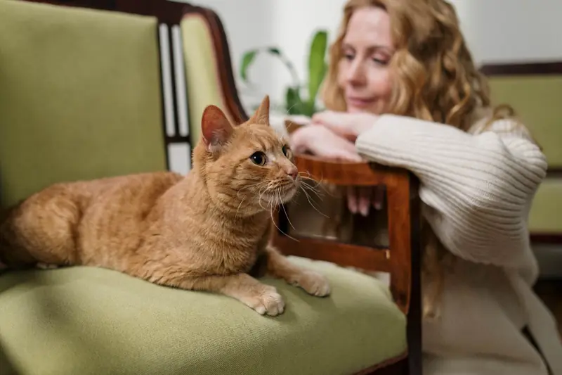 Cat owners are more likely to develop schizophrenia: a theory.