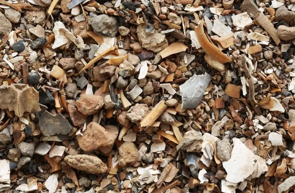 The ancient inhabitants of the Amazon lived in garden cities, ate corn, and raised ducks.