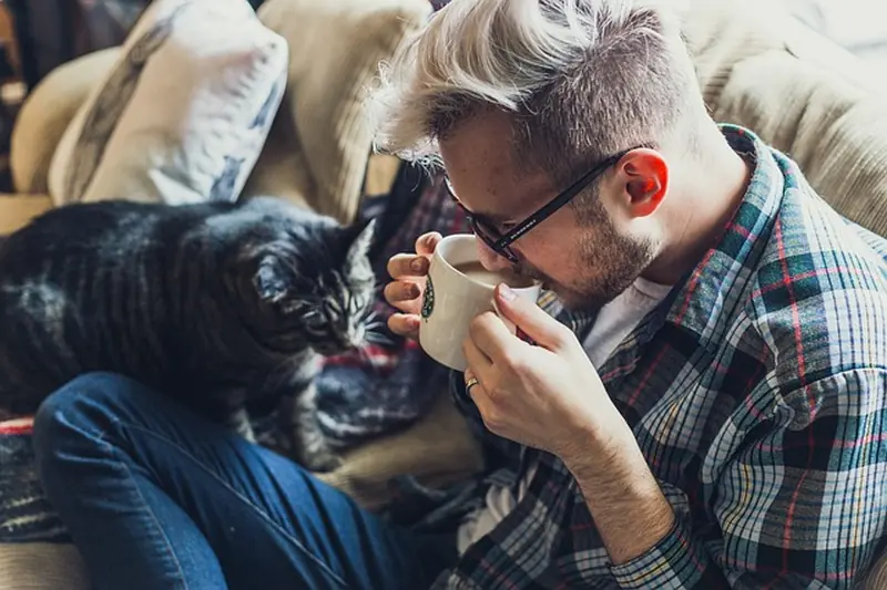 Do cats have friends? The truth about feline friendliness.