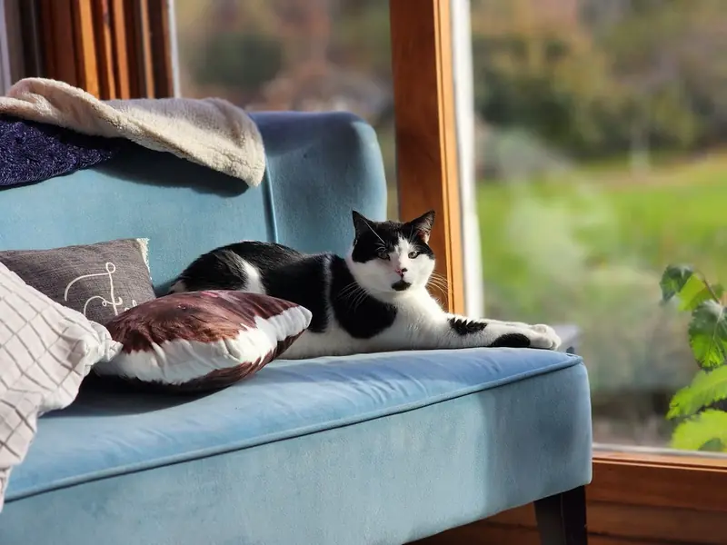 Experts have identified the dirtiest place in the house.