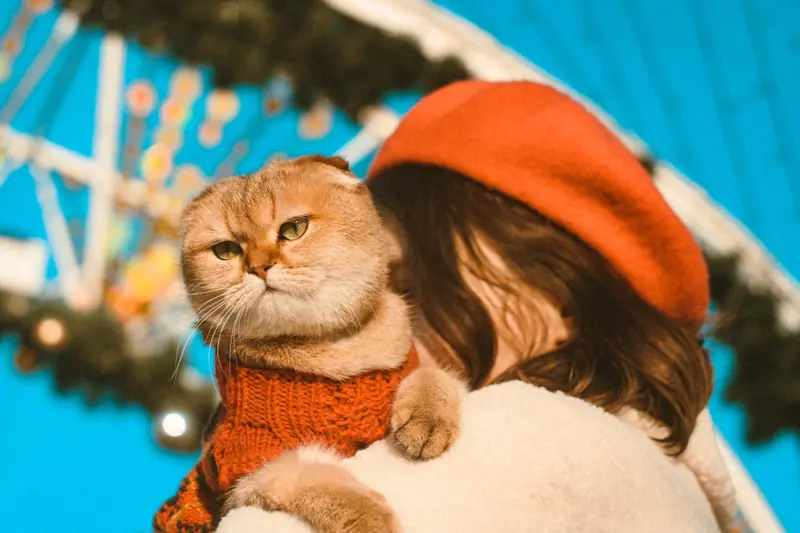 Why do cats often meow at people?