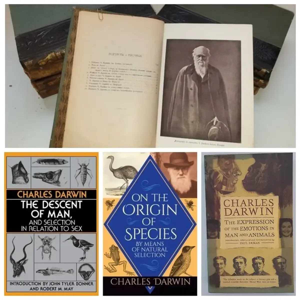 Charles Darwin: The Evolution of the Author of the Theory of Evolution