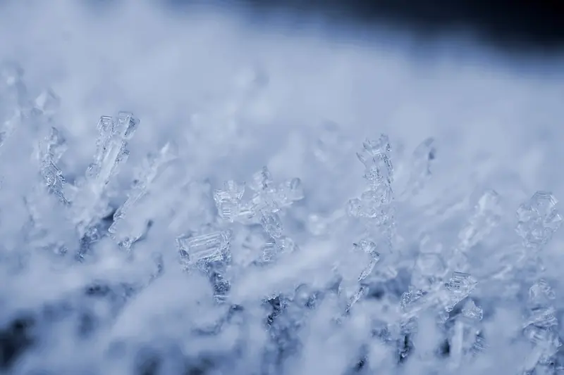 The size of a vinyl record: what are snowflakes like?