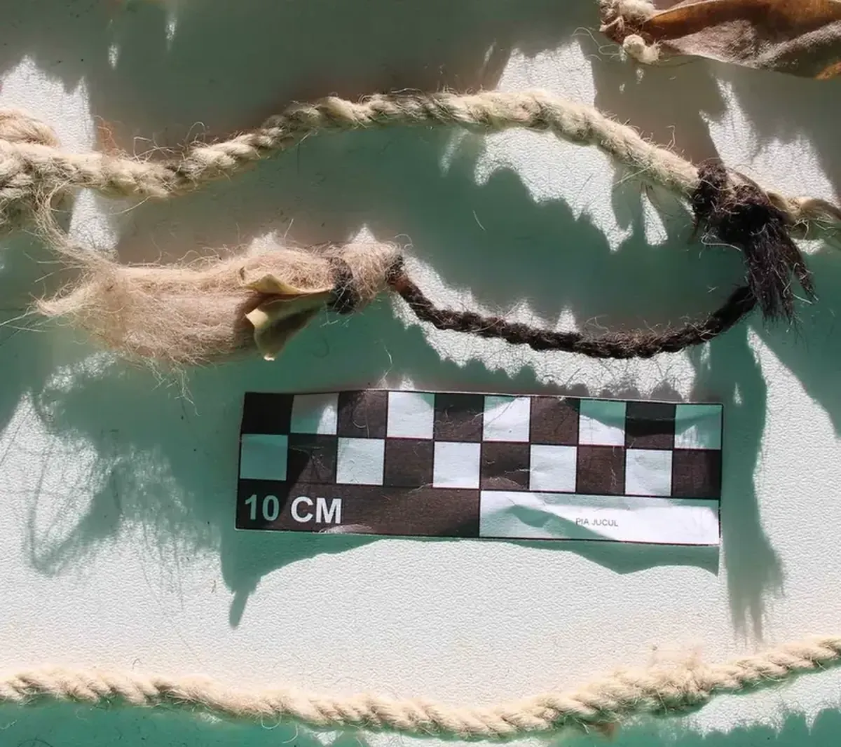 In the language of knots: a 68-meter message from the ancient Incas has been discovered in Peru.