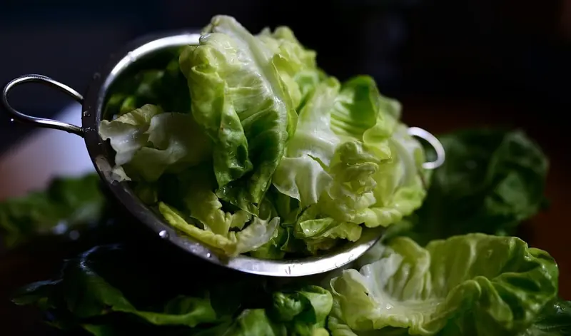 Leafy greens: lettuce and company