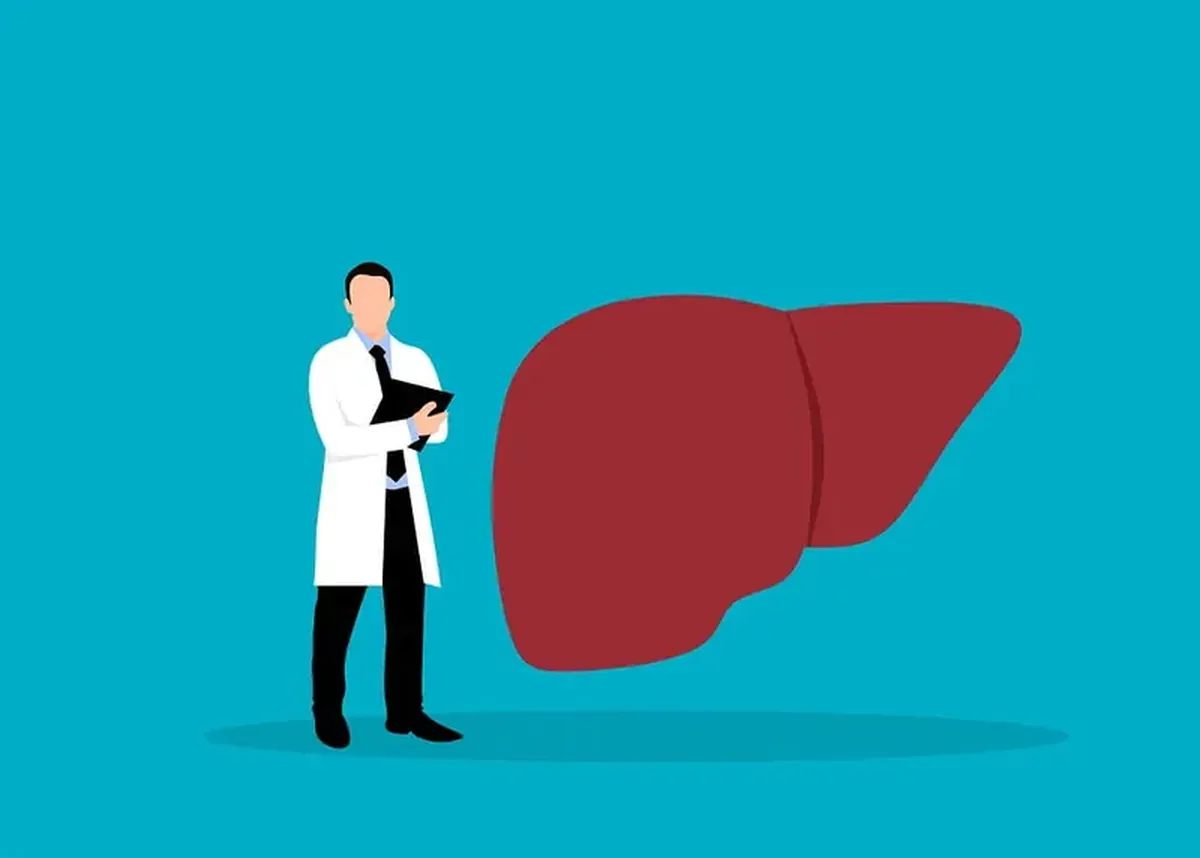 Cleaning feathers: a brush for the liver.
