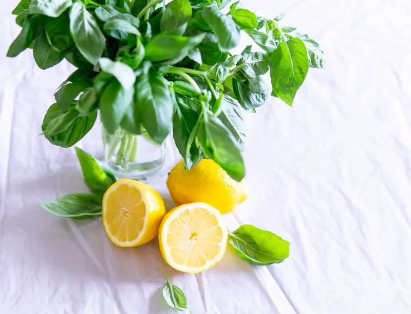 Lemon: the universal citrus.