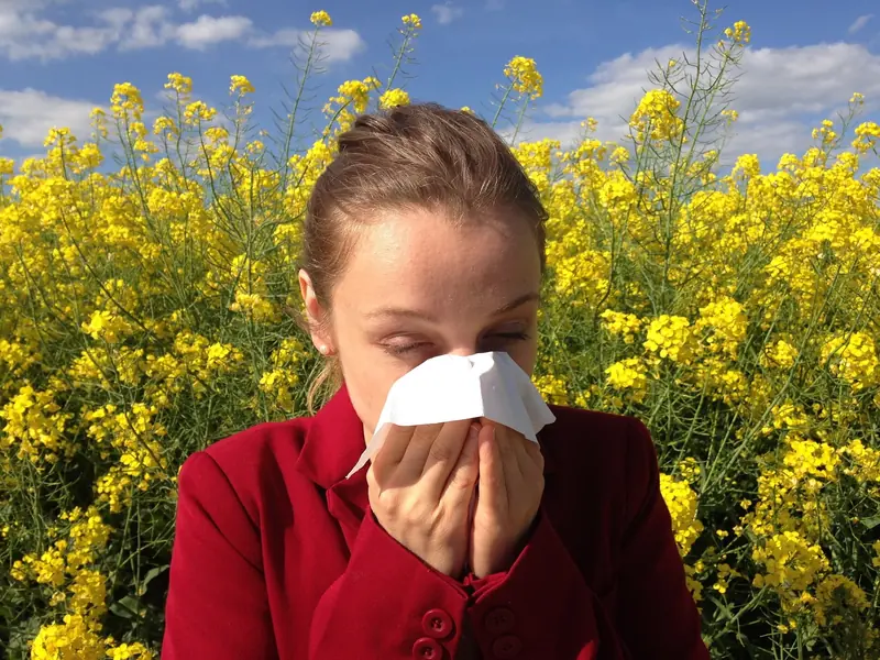 How to Overcome Seasonal Allergies: Expert Tips