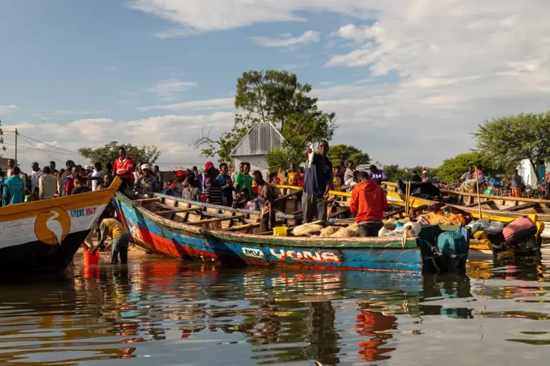 The world's largest tropical lake is turning green: an ecological disaster.