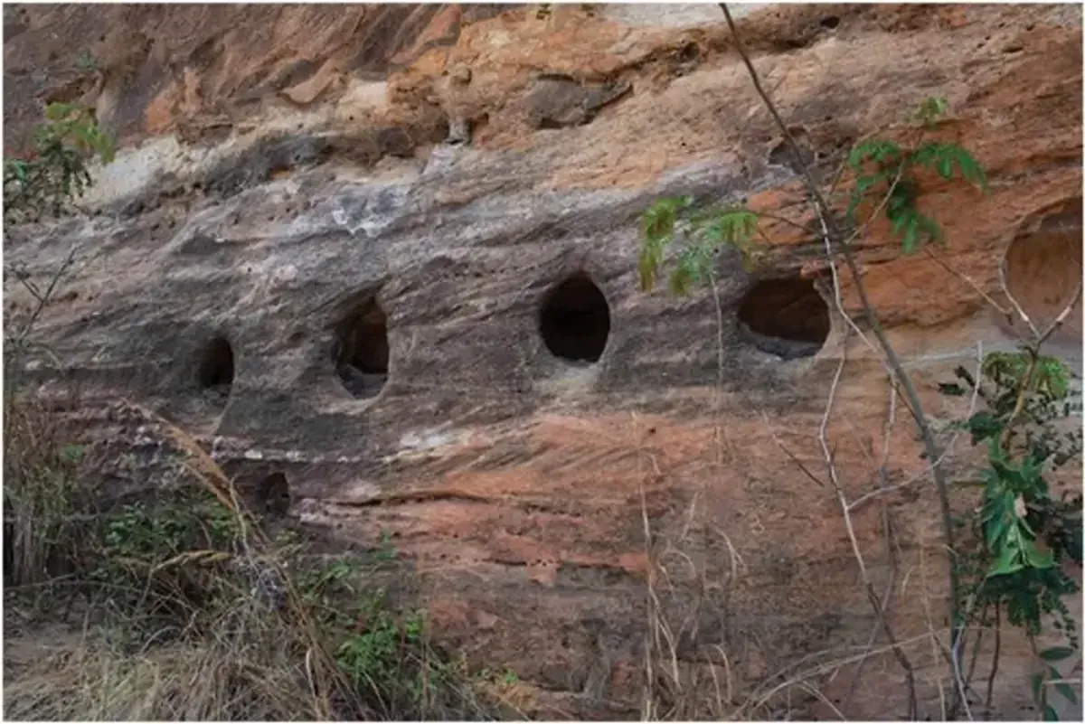 Who is the author of the mysterious rock niches of Madagascar?