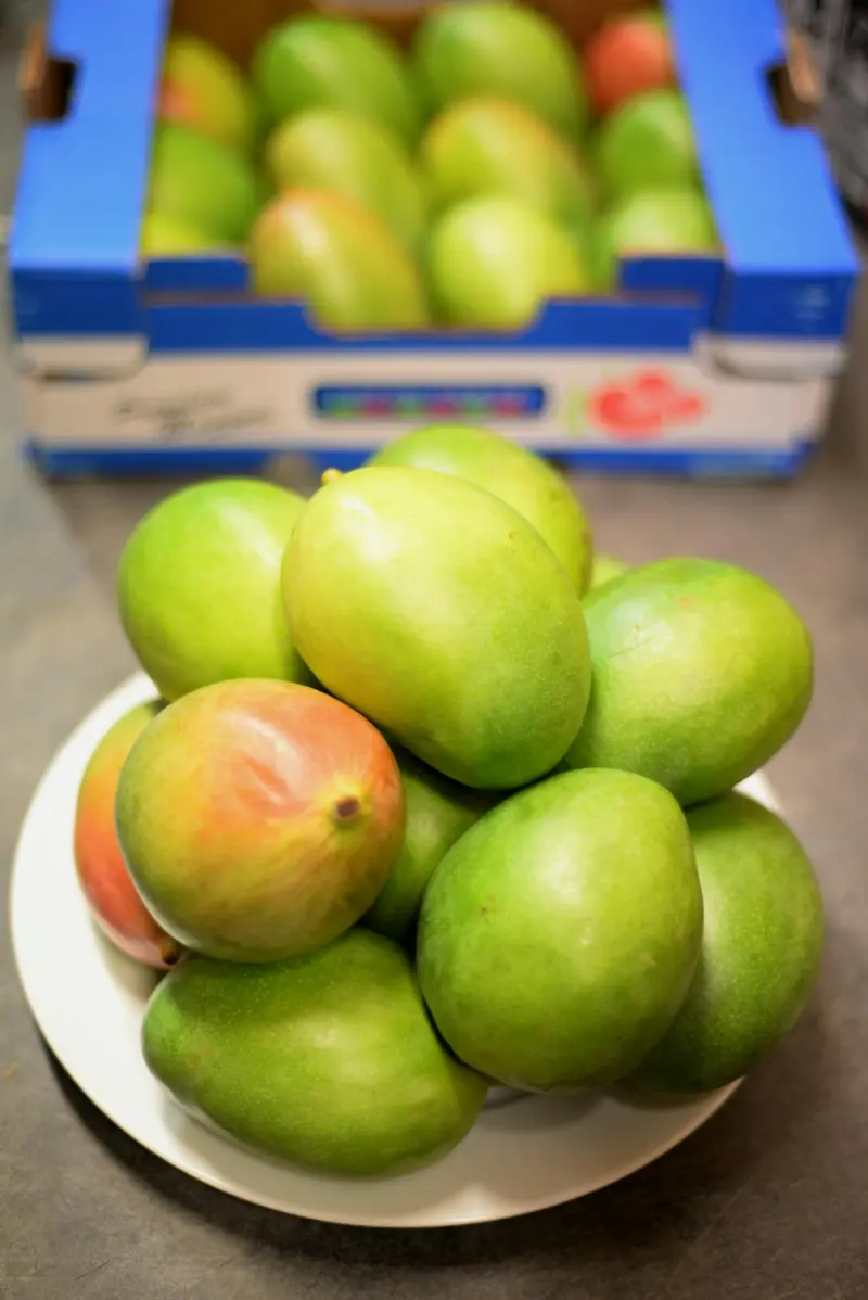 The Mysterious Stranger: The Benefits and Harms of Mangoes