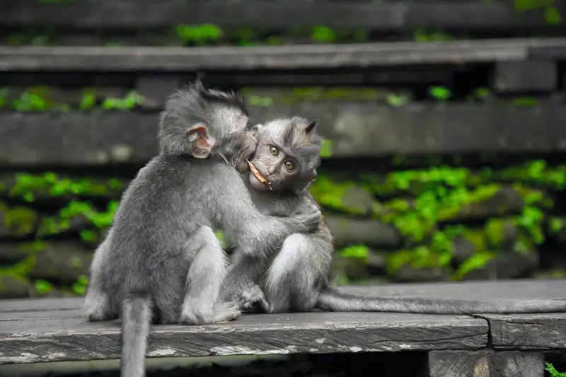 The oldest documented evidence of kisses dates back 4,500 years, according to researchers.