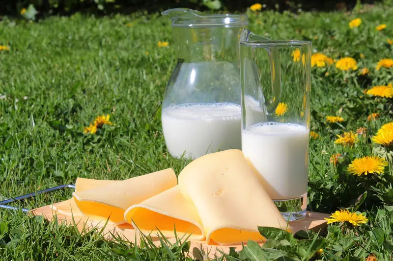 Heart-healthy: The top 6 essential foods for your well-being.