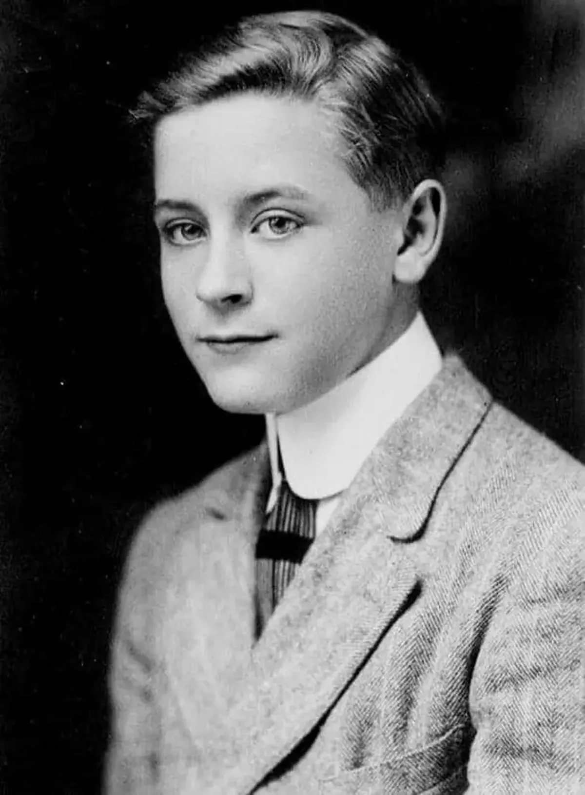 Francis Scott Fitzgerald: the voice of 