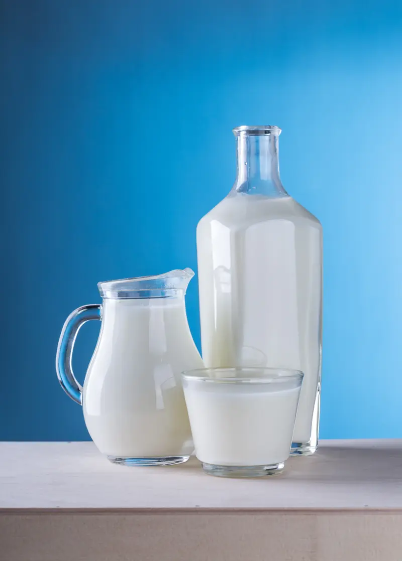 Milk in the adult diet: more benefits or harm?