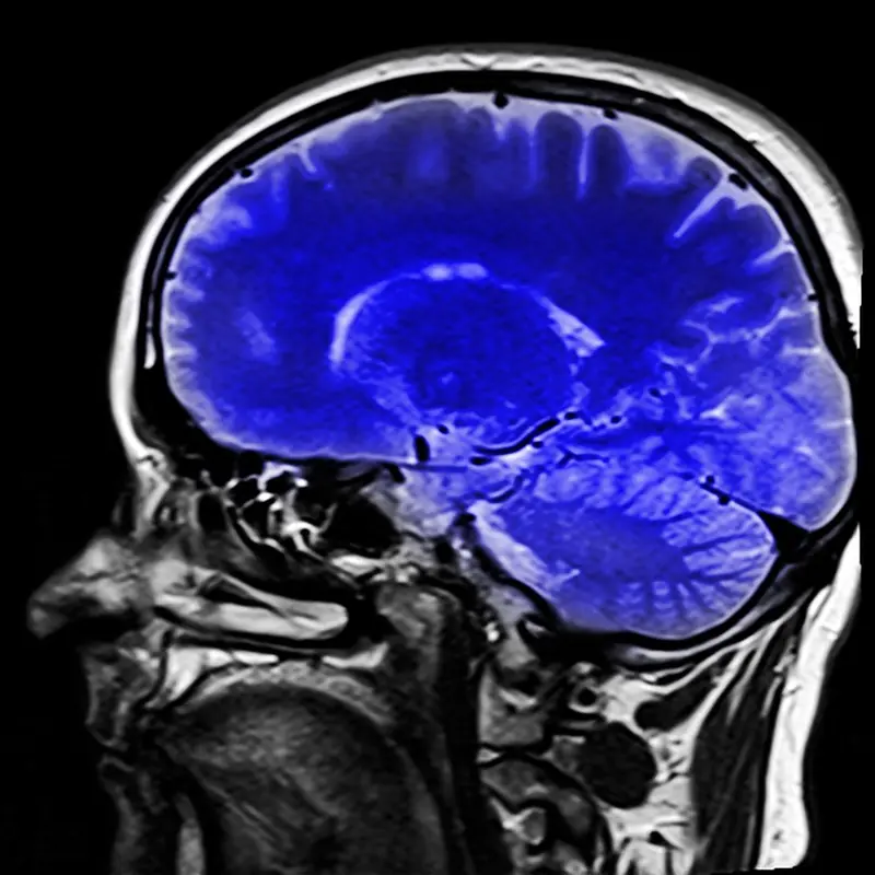 Observing the beauty of nature alleviates pain, according to scientists.